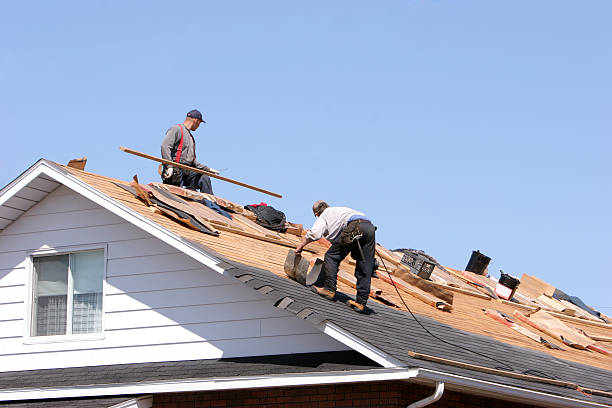 Best Roof Maintenance and Cleaning  in Pimmit Hills, VA
